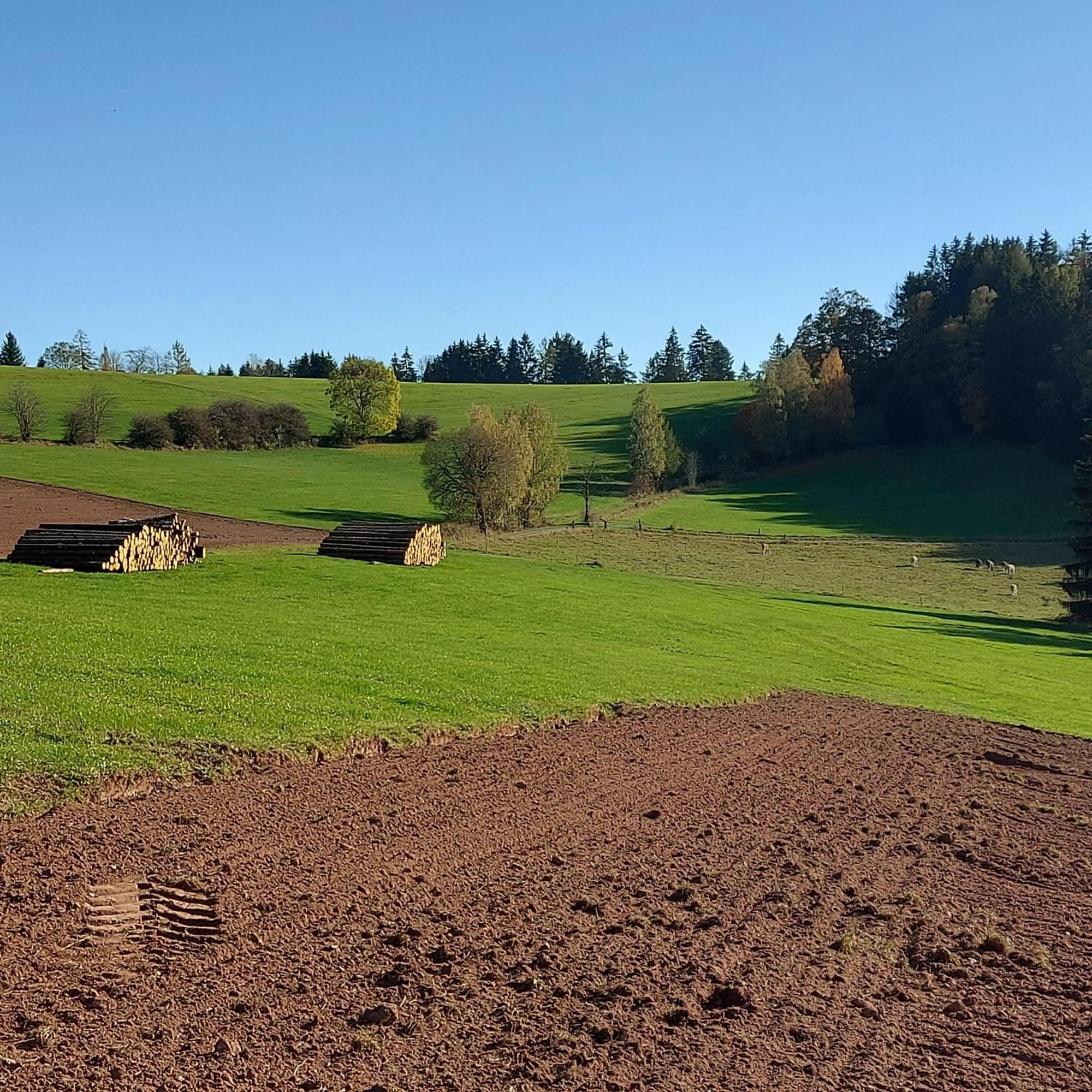 Ferienwohnungen Lahmenhof Poppenhausen Exterior photo